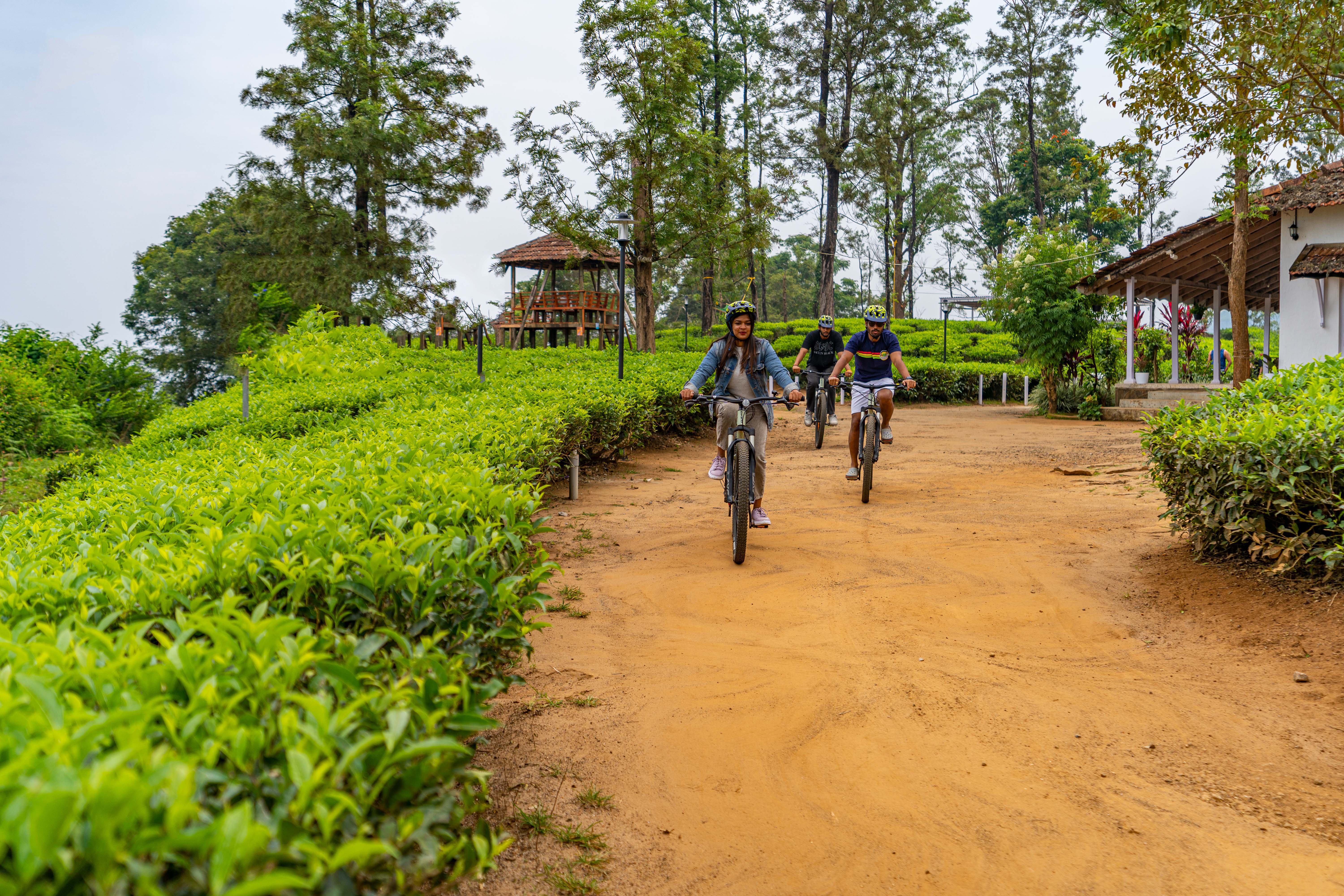 ഫാത്തിമ ഫാംസ്